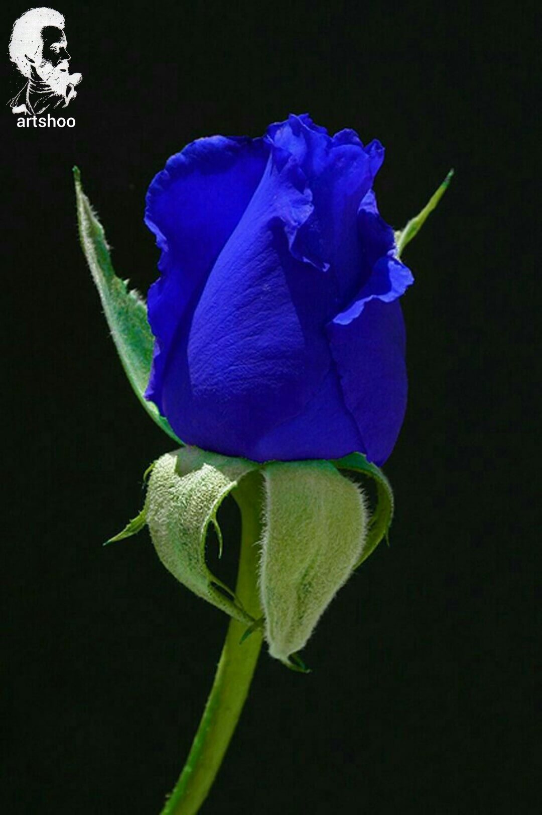 آموزش نقاشی رنگ روغن